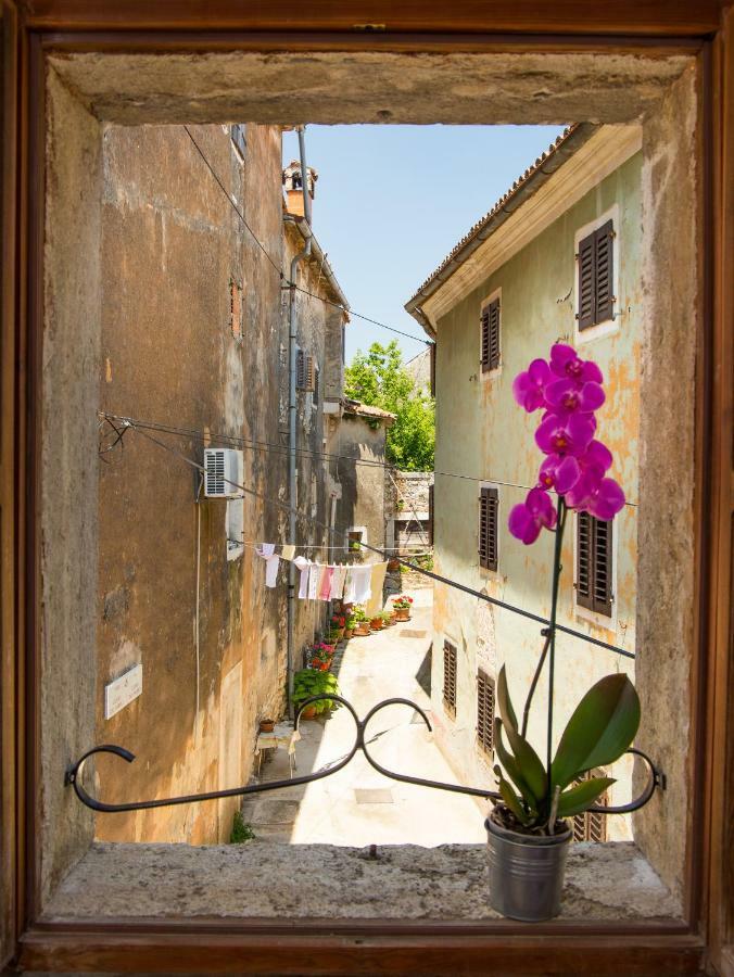 Villa Di Piazza Višnjan エクステリア 写真
