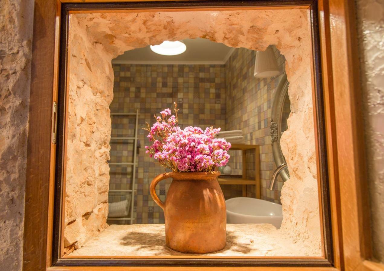 Villa Di Piazza Višnjan エクステリア 写真