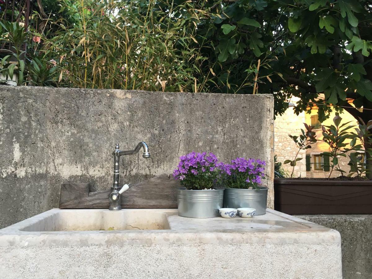 Villa Di Piazza Višnjan エクステリア 写真